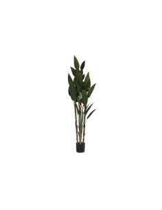 Plante décorative DKD Home Decor (90 x 90 x 200 cm)