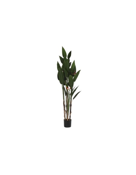 Plante décorative DKD Home Decor (90 x 90 x 200 cm)