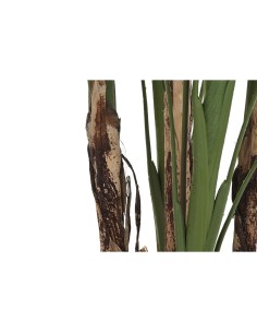 Plante décorative DKD Home Decor (90 x 90 x 200 cm) 2