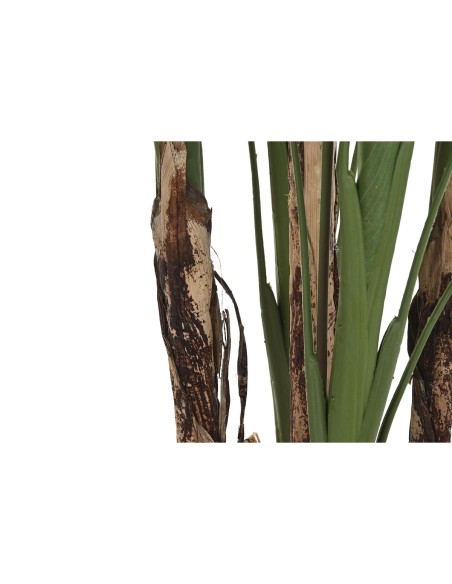Plante décorative DKD Home Decor (90 x 90 x 200 cm)