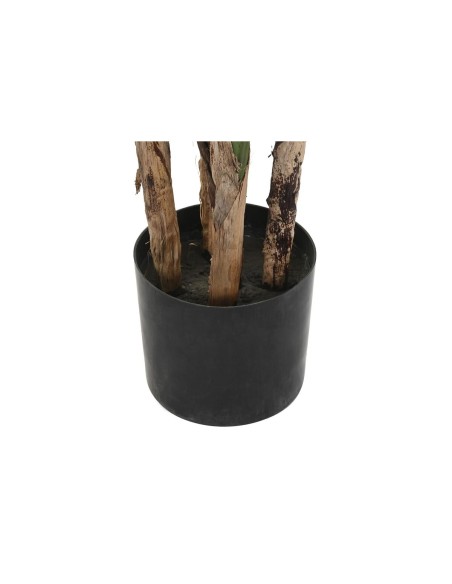 Plante décorative DKD Home Decor (90 x 90 x 200 cm)
