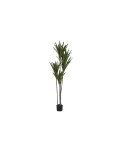 Plante décorative DKD Home Decor (80 x 80 x 180 cm)