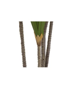 Plante décorative DKD Home Decor (80 x 80 x 180 cm) 2