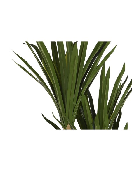 Plante décorative DKD Home Decor (80 x 80 x 180 cm)