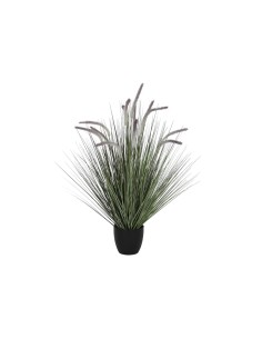 Plante décorative DKD Home Decor Lila (30 x 30 x 104 cm)