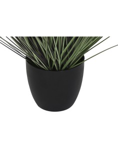 Plante décorative DKD Home Decor Lila (30 x 30 x 104 cm) 2