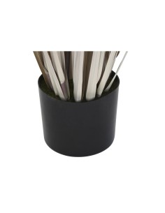 Plante décorative DKD Home Decor Joncs (45 x 45 x 150 cm) 2