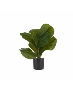 Plante décorative Ibergarden HY2-100 Plastique 9,5 x 42 x 9,5 cm (6 Unités) 2