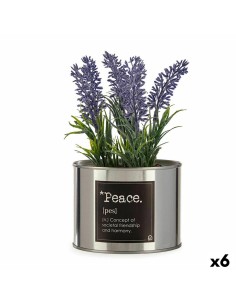 Plante décorative Ibergarden Métal Plastique Cannette Lavande 10 x 18 x 10 cm (6 Unités)