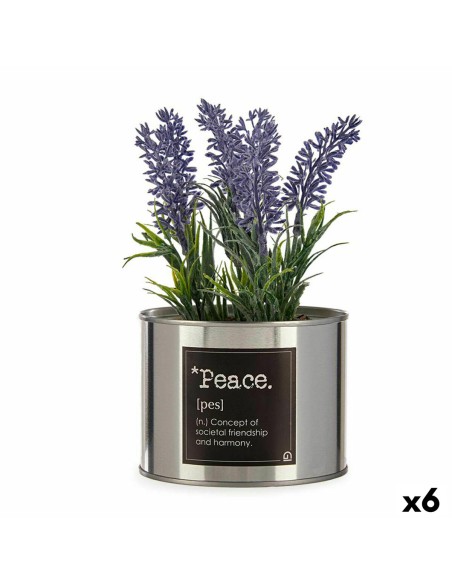 Plante décorative Ibergarden Métal Plastique Cannette Lavande 10 x 18 x 10 cm (6 Unités)