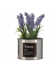Plante décorative Ibergarden Métal Plastique Cannette Lavande 10 x 18 x 10 cm (6 Unités) 2