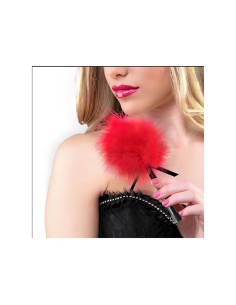 Chatouilleur à plumes Secret Play 2