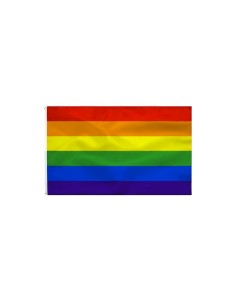 Drapeau Divertysex 90 x 60 cm Multicouleur