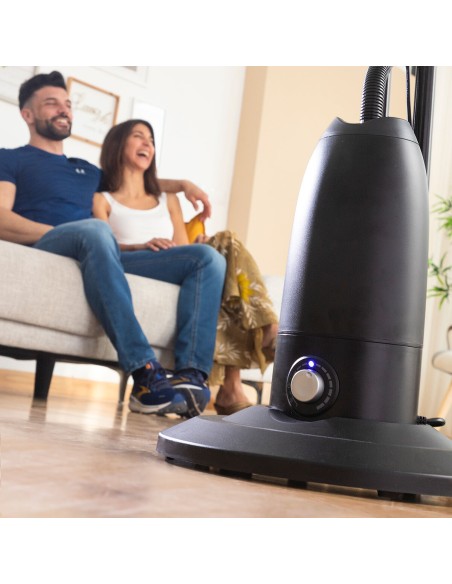Ventilateur Brumisateur sur Pied avec Commande à Distance InnovaGoods Mistinn Noir 90 W 2,8 L
