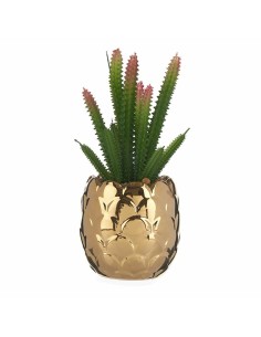 Plante décorative Ibergarden HY2-44 Céramique Plastique Cactus 10 x 20 x 10 cm Vert Doré (6 Unités) 2