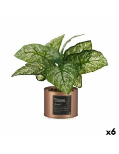 Plante décorative Ibergarden Home Métal Plastique Cannette 26 x 26 x 26 cm Cuivre (6 Unités)