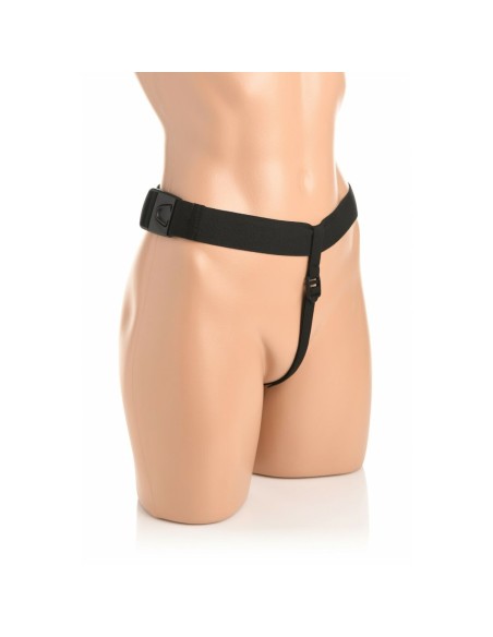 Plug Anal XR