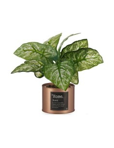 Plante décorative Ibergarden Home Métal Plastique Cannette 26 x 26 x 26 cm Cuivre (6 Unités) 2
