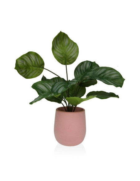 Plante décorative Versa 15 x 44 x 15 Ciment Plastique