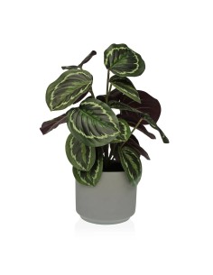 Plante décorative Versa 15 x 40,5 x 15 cm Ciment Plastique