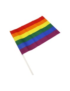 Drapeau Divertysex 30 x 20 cm Multicouleur 12 Pièces