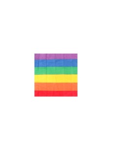 Drapeau Divertysex Multicouleur 12 Pièces
