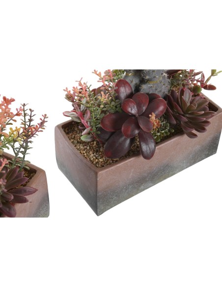 Plante décorative DKD Home Decor 19 x 9 x 22 cm Rose Orange Cactus Feuille de Mousse polypropylène (2 Unités)