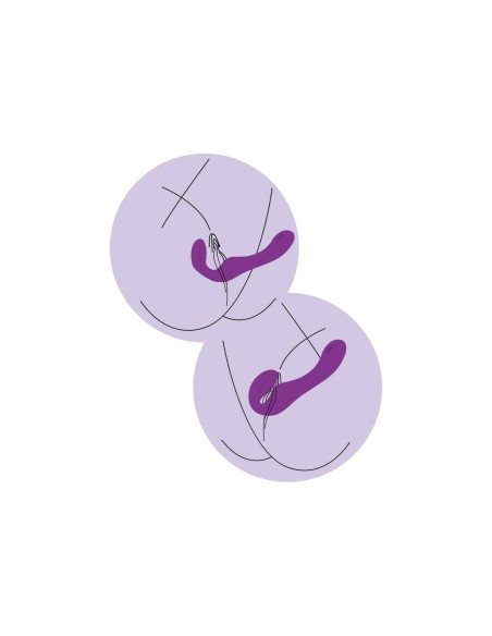 Vibrateur G-Spot Toy Joy Violet