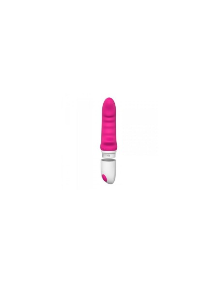 Vibrateur G-Spot Toyz4lovers Rose Silicone