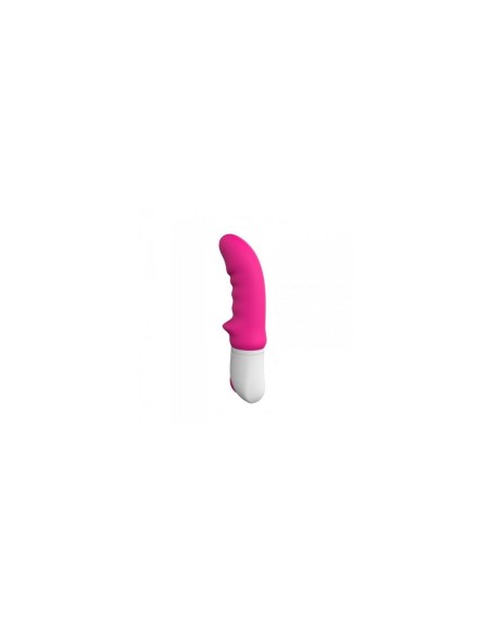 Vibrateur G-Spot Toyz4lovers Rose Silicone