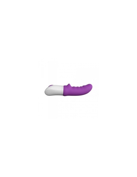 Vibrateur G-Spot Toyz4lovers Pourpre