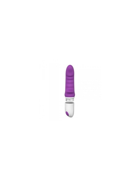 Vibrateur G-Spot Toyz4lovers Pourpre