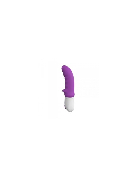 Vibrateur G-Spot Toyz4lovers Pourpre