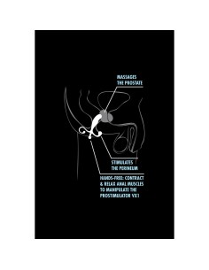 Plug Anal Blush Anal Adventures Noir 2