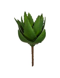 Plante décorative Ibergarden YD181153 Plastique Aloe Vera 13 x 24,5 x 14 cm (6 Unités) 2