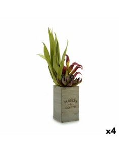 Plante décorative Ibergarden Flowers Garden 10 x 50 x 10 cm Marron Vert (4 Unités)