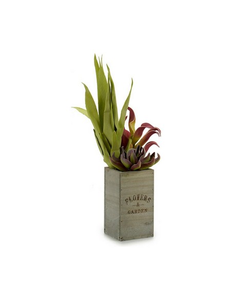Plante décorative Ibergarden Flowers Garden 10 x 50 x 10 cm Marron Vert (4 Unités)