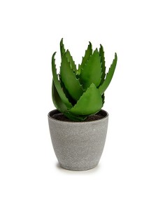 Plante décorative Ibergarden YC184573 Plastique Aloe Vera 15 x 23,5 x 15 cm (6 Unités) 2