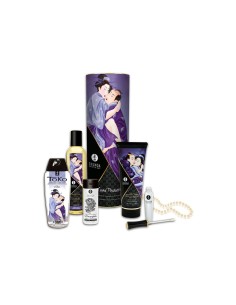 Kit Grand Plaisir Shunga CARNAL PLEASURES