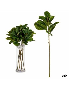 Branche Ibergarden YD130615 Vert Plastique 80 cm Volets (12 Unités)