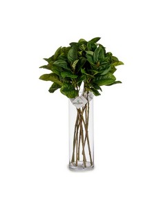 Branche Ibergarden YD130615 Vert Plastique 80 cm Volets (12 Unités) 2