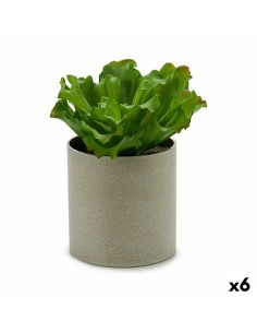 Plante décorative Ibergarden YC181588 20 x 25 x 20 cm (6 Unités)