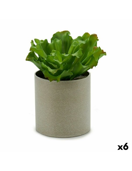 Plante décorative Ibergarden YC181588 20 x 25 x 20 cm (6 Unités)