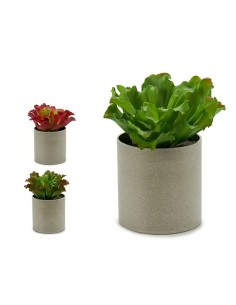 Plante décorative Ibergarden YC181588 20 x 25 x 20 cm (6 Unités) 2