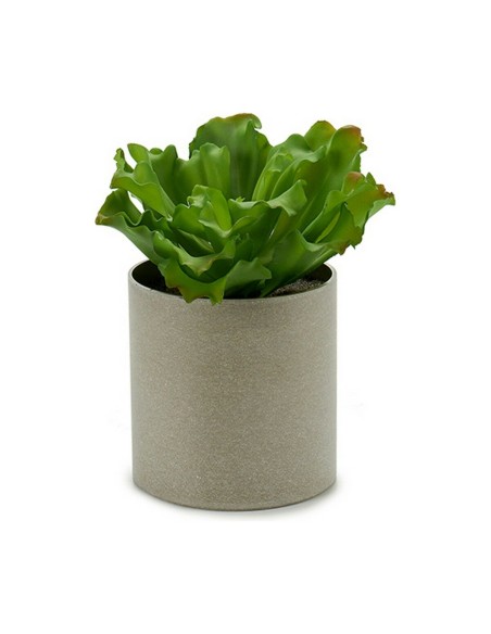 Plante décorative Ibergarden YC181588 20 x 25 x 20 cm (6 Unités)