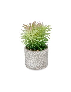 Plante décorative Ibergarden QY-H011 Bois Plastique Ciment Succulent 12 x 22 x 12 cm (8 Unités) 2