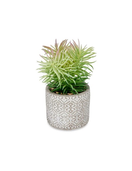 Plante décorative Ibergarden QY-H011 Bois Plastique Ciment Succulent 12 x 22 x 12 cm (8 Unités)