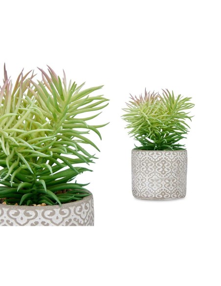 Plante décorative Ibergarden QY-H011 Bois Plastique Ciment Succulent 12 x 22 x 12 cm (8 Unités)