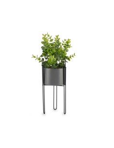 Plante décorative Ibergarden QY-H096 Métal Plastique Eucalyptus 14 x 40 x 14 cm (8 Unités) 2