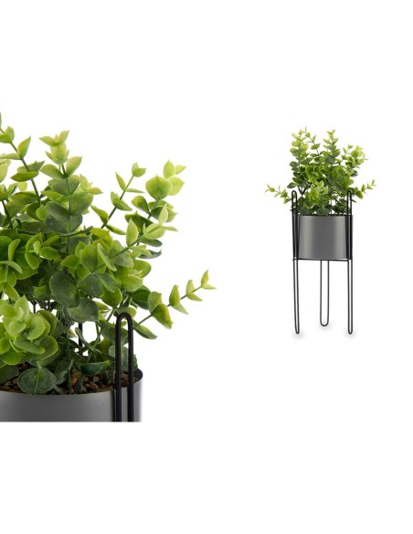 Plante décorative Ibergarden QY-H096 Métal Plastique Eucalyptus 14 x 40 x 14 cm (8 Unités)
